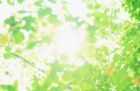 岡山で慢性腰痛に特化した整体院紫翠、正しいストレッチで改善に導きます